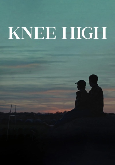 Фильмы онлайн